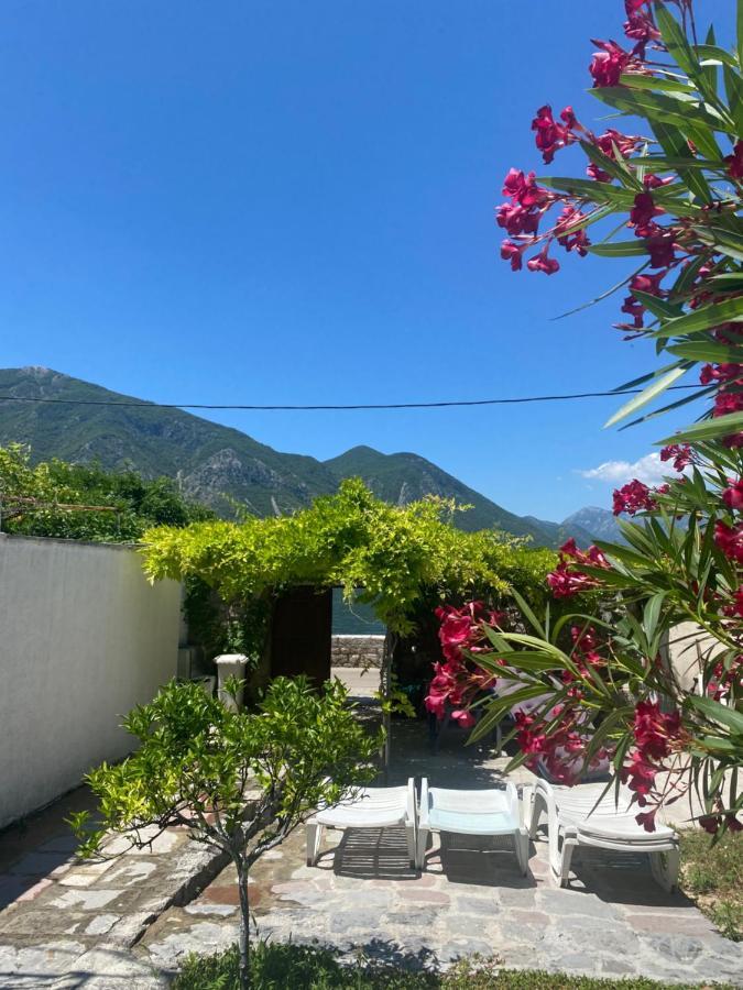 Mansarda Apartment Kotor Kültér fotó